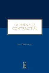 Cristián Boetsch Gillet - La buena fe contractual