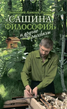 Алексий Лисняк «Сашина философия» и другие рассказы обложка книги