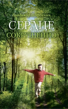 Владимир Щербинин Сердце сокрушенно обложка книги