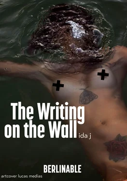 Ida J The Writing on the Wall обложка книги
