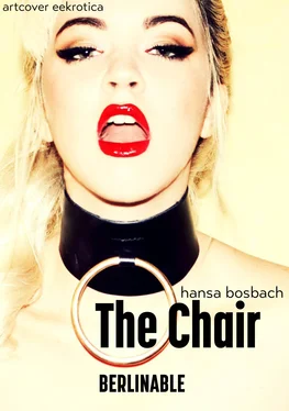 Hansa Bosbach The Chair обложка книги