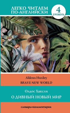 Aldous Huxley О дивный новый мир / Brave New World. 4 уровень обложка книги