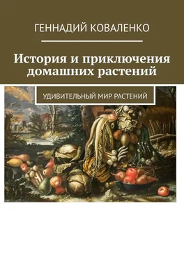 Геннадий Коваленко История и приключения домашних растений. Удивительный мир растений обложка книги