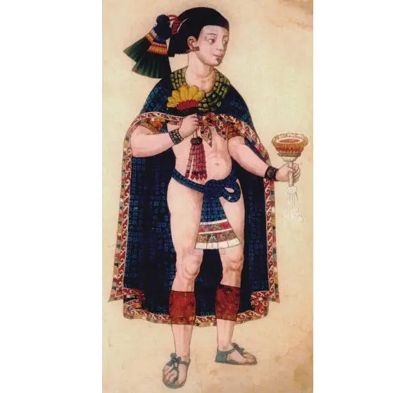 Ритуал подношения цветка подсолнуха У современных индейцев отоми название - фото 12