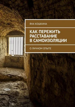 Яна Кошкина Как пережить расставание в самоизоляции. О личном опыте обложка книги