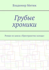 Владимир Митюк - Грубые хроники. Роман из цикла «Пространство холода»