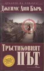 Джеймс Бърк - Тръстиковият път
