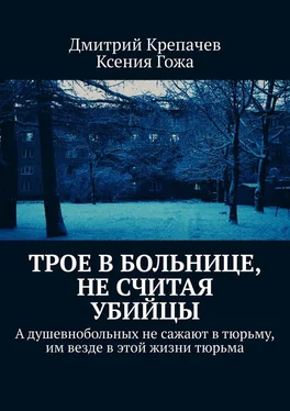 Ксения Гожа Трое в больнице, не считая убийцы обложка книги