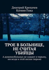 Ксения Гожа - Трое в больнице, не считая убийцы