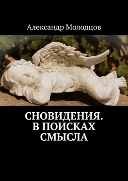 Александр Молодцов Сновидения. В поисках смысла обложка книги