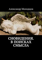 Александр Молодцов - Сновидения. В поисках смысла