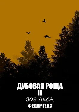 Федор Гедз Дубовая Роща II обложка книги