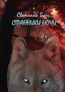 Светлана Барс Странники ночи обложка книги