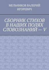 ВАЛЕРИЙ МЕЛЬНИКОВ - СБОРНИК СТИХОВ В НАШИХ ПОЛЯХ СЛОВОЗНАНИЙ – V