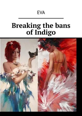 Eva Breaking the bans of Indigo обложка книги