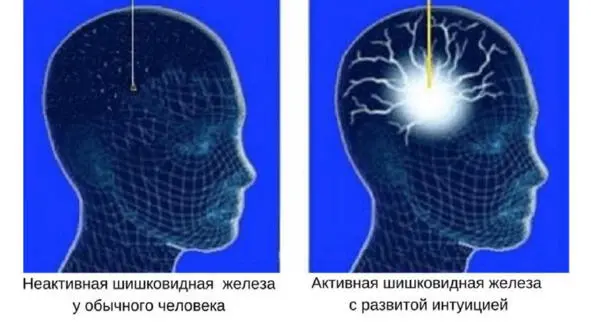 А теперь Вы должны понять и усвоить как дважды два что если Вы занялись - фото 4