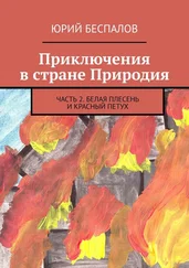 Юрий Беспалов - Приключения в стране Природия. Часть 2. Белая Плесень и Красный Петух