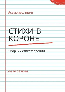 Ян Березкин Стихи в короне. #самоизоляция сборник стихотворений обложка книги