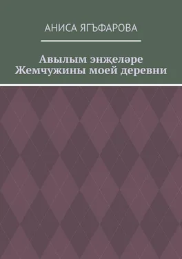 Аниса Ягъфарова Авылым энҗеләре. Жемчужины моей деревни обложка книги