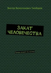 Виктор Чимбарев - Закат человечества. Правда вскроет эту систему