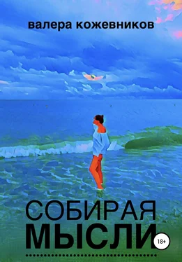 Валера Кожевников Собирая мысли обложка книги