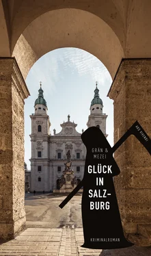 Hannelore Mezei Glück in Salzburg обложка книги