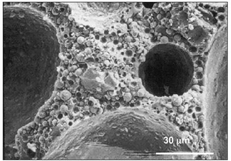 FIGURA 24 Microestructura de la crema de leche batida observada con un - фото 4