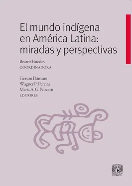 Beatriz Paredes Rangel El mundo indígena en América Latina: miradas y perspectivas обложка книги