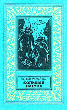 Сергей Жемайтис Большая лагуна обложка книги