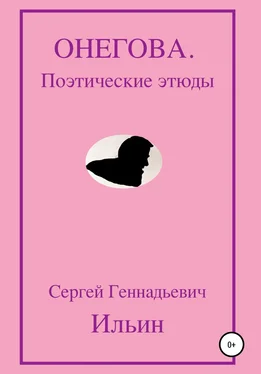 Сергей Ильин Онегова. Поэтические этюды обложка книги