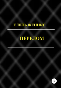 Елена Феникс Перелом обложка книги