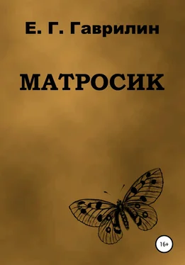 Евгений Гаврилин Матросик обложка книги
