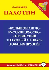 Александр Пахотин - Большой англо-русский, русско-английский толковый словарь ложных друзей