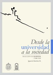 Ignacio Sánchez Díaz - Desde la universidad a la sociedad