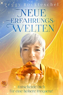 Peggy Rockteschel Neue Erfahrungswelten обложка книги