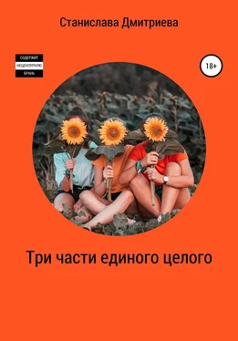 Станислава Дмитриева Три части единого целого обложка книги