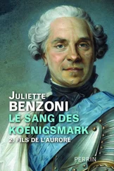Juliette Benzoni - Fils de L'Aurore