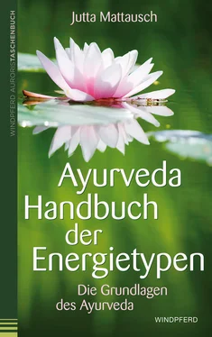 Jutta Mattausch Ayurveda - Handbuch der Energietypen обложка книги