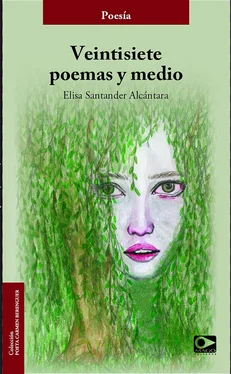 Elisa Santander Alcántara Veintisiete poemas y medio обложка книги