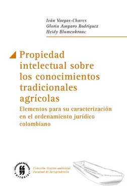 Gloria Amparo Rodríguez Propiedad intelectual sobre los conocimientos tradicionales agrícolas обложка книги