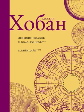 Рассел Хобан Лев Боаз-Яхинов и Яхин-Боазов. Кляйнцайт обложка книги