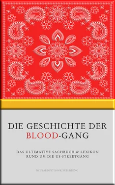 Stardust Book Publishing Die Geschichte der Blood-Gang обложка книги