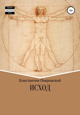 Константин Покровский Исход обложка книги