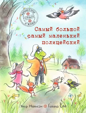 Ульф Нильсон Комиссары Гордон и Жаби. Самый большой самый маленький полицейский обложка книги