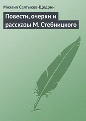 Михаил Салтыков-Щедрин - Повести, очерки и рассказы М. Стебницкого