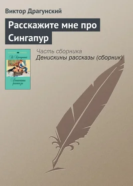 Виктор Драгунский Расскажите мне про Сингапур обложка книги