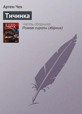 Артем Чех Тичинка обложка книги