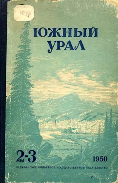 Афанасий Салынский Семья Буториных обложка книги