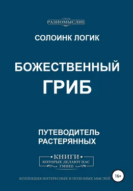 Солоинк Логик Божественный гриб обложка книги