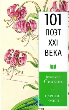 Владимир Силкин Царские кудри обложка книги